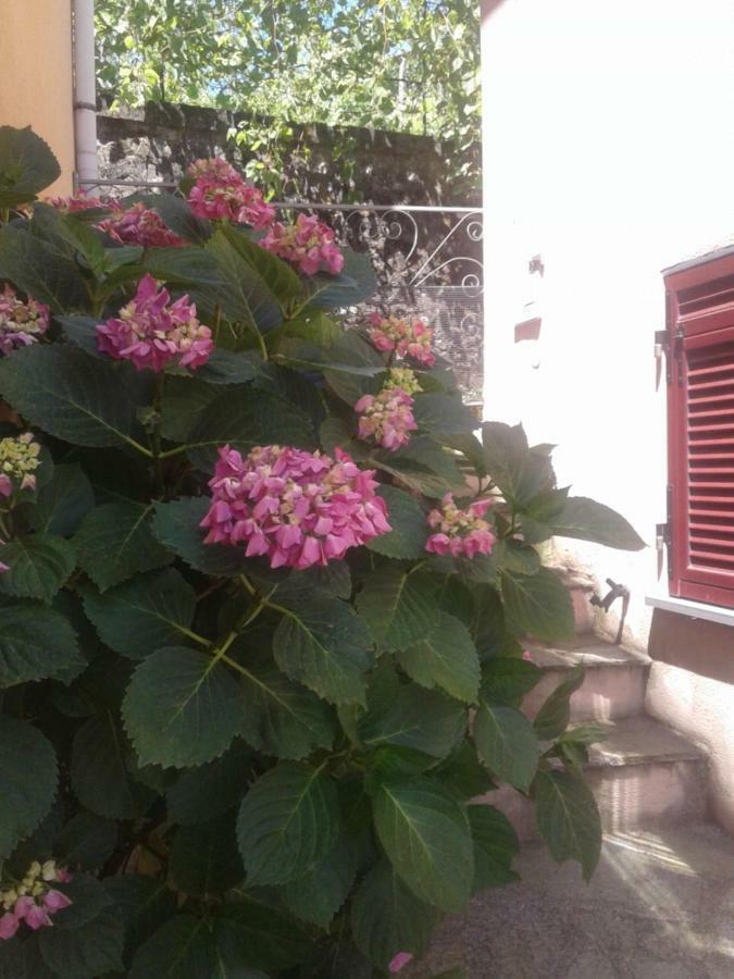 Monolocale per coppia Appartamento Carrodano Inferiore Esterno foto