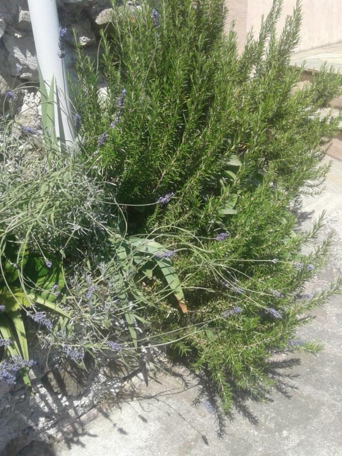 Monolocale per coppia Appartamento Carrodano Inferiore Esterno foto